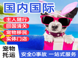 美兰机场空运国际宠物托运 【国